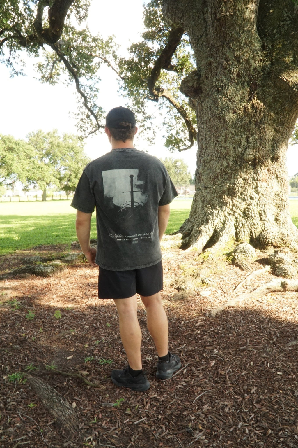 Pierced with a Lance worn, back print